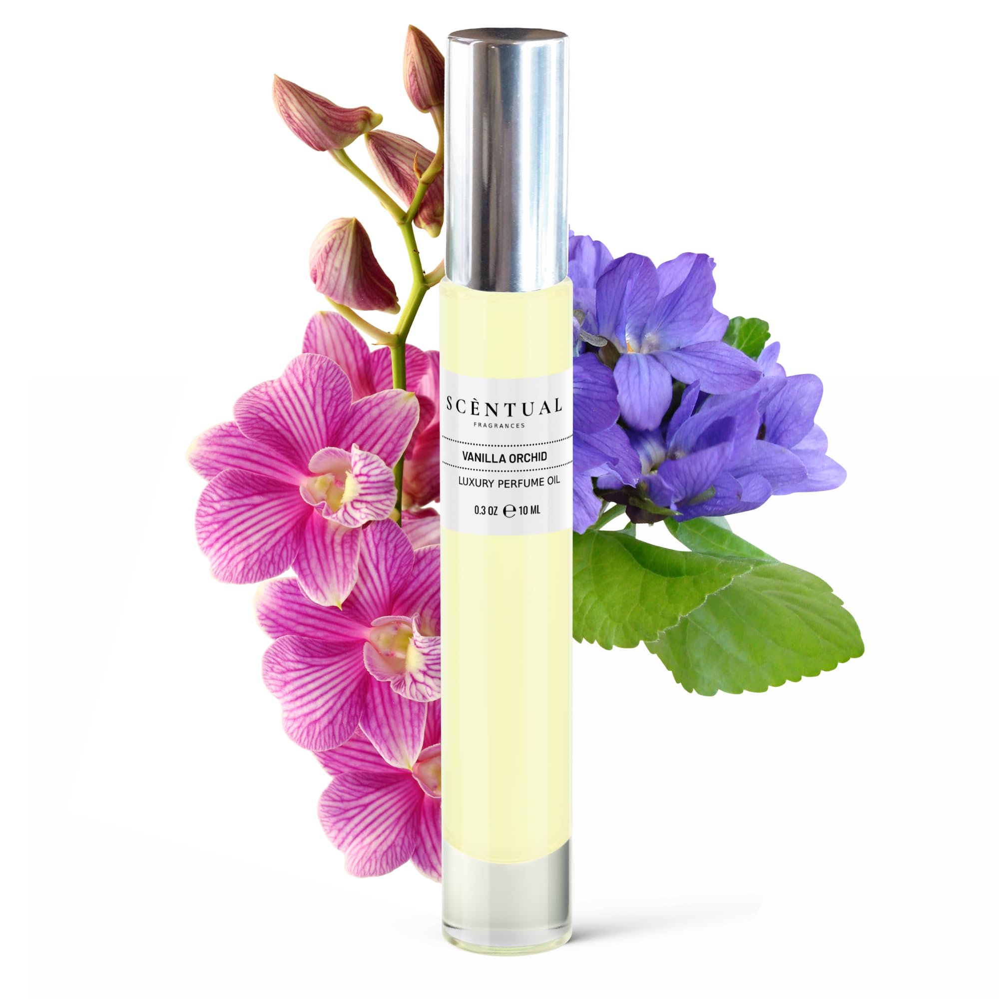 Amazon.com : Scentual Fragrances, Luxury Perfume Oil, Ultra